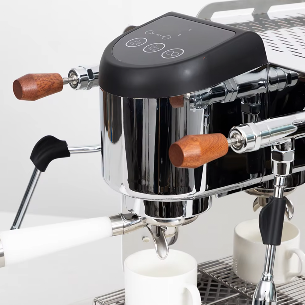 Espressomaskine EM10 Home Roast