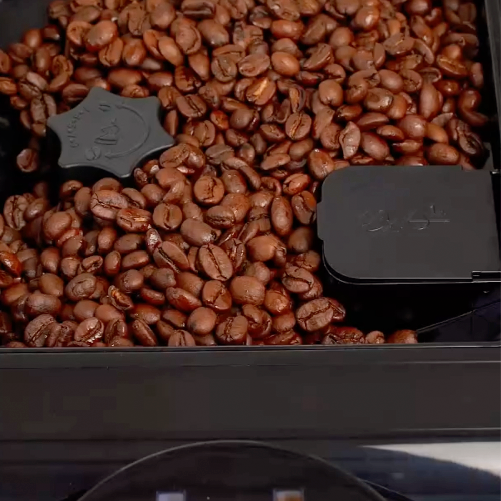 ScandBrew Automatisk Kaffemaskine 6410B hos Home Roast